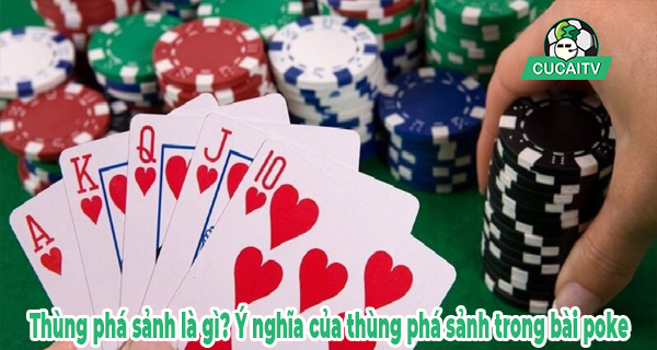 khai-niem-thung-pha-sanh-trong-poker